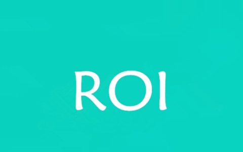 ROI是什么意思？