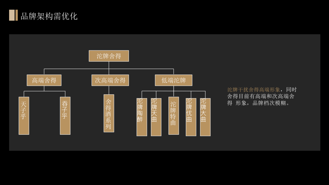 舍得酒业品牌战略规划策划方案（PPT详细版）