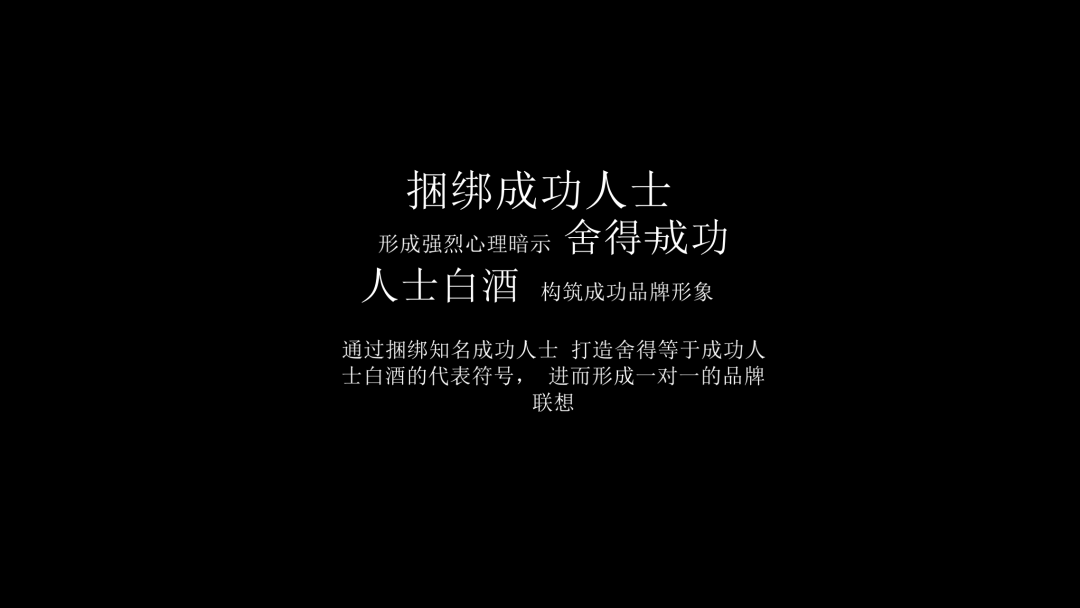 舍得酒业品牌战略规划策划方案（PPT详细版）