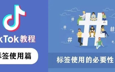 TikTok标签功能介绍，TikTok标签使用的必要性（一）