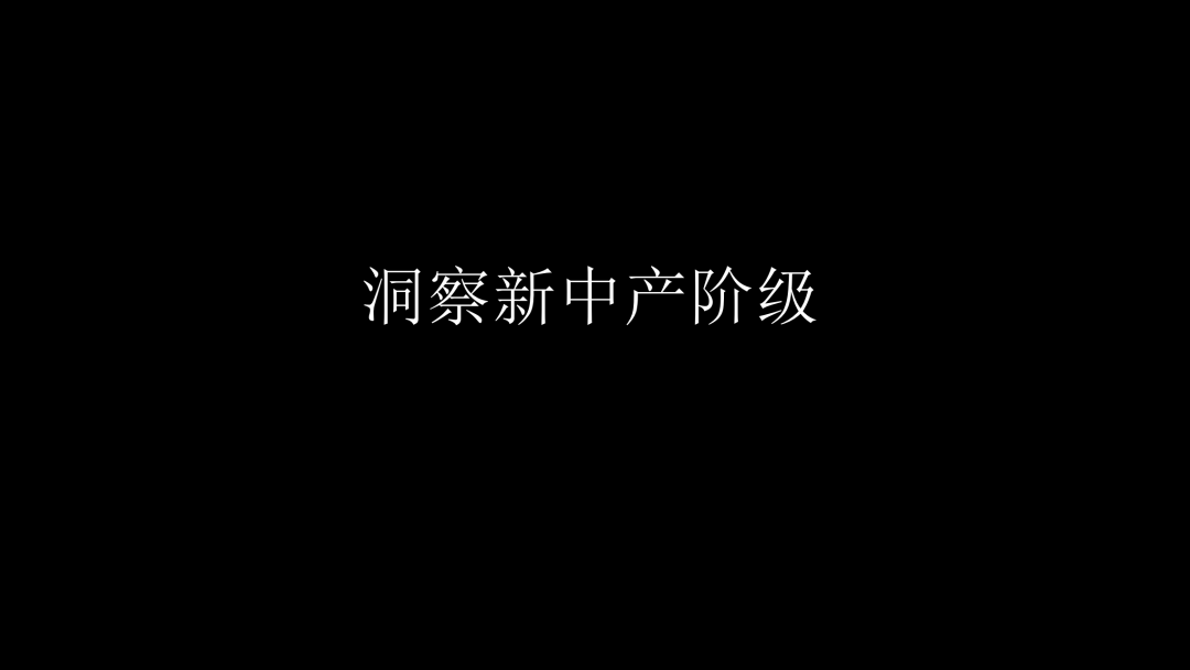 舍得酒业品牌战略规划策划方案（PPT详细版）