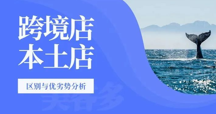 美客多电商平台入驻(美客多本土店和跨境店的区别)