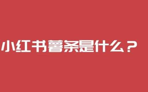 小红书薯条是什么意思(小红书薯条推广有用吗)