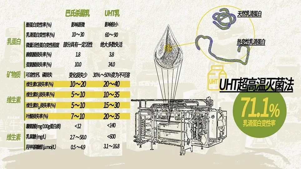 鲜牛奶和纯牛奶有什么区别(详解牛奶功效和作用)