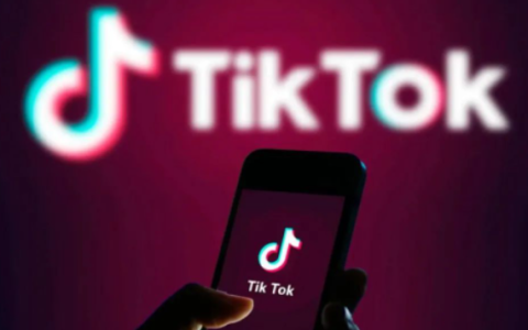 TikTok标签生成器大全(10个标签生成工具)