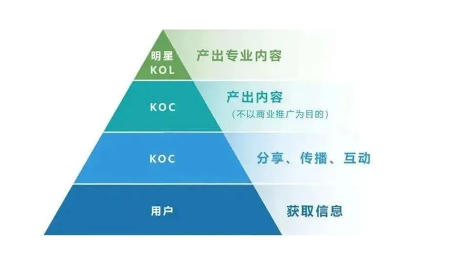 KOL和KOC什么意思含义(KOL和KOC有什么区别)